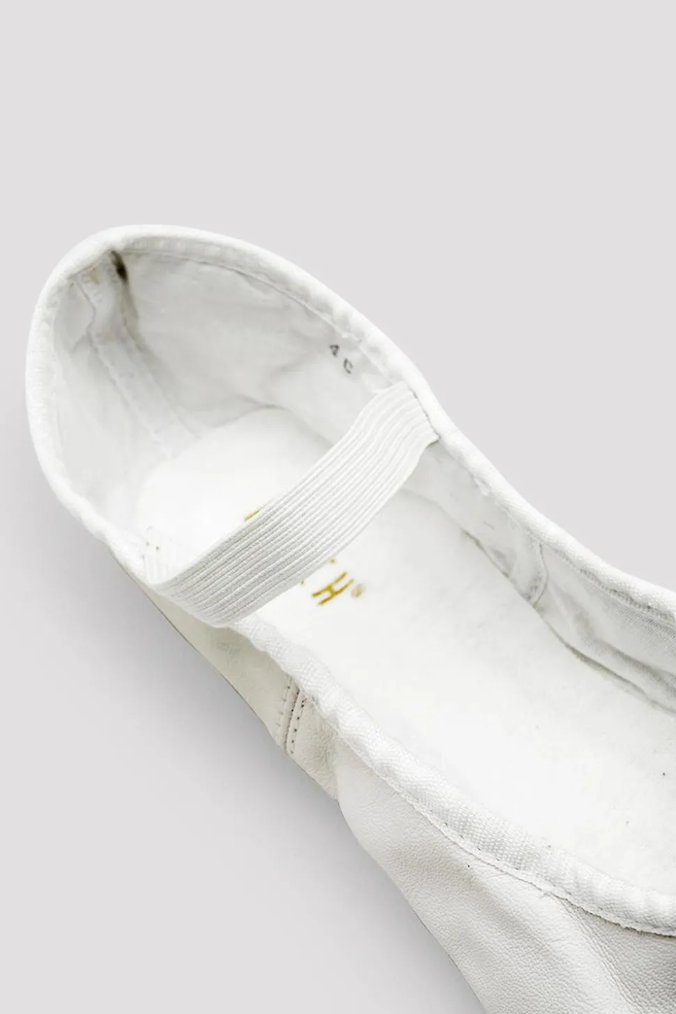 Ladies Arise Leather Ballet Shoes-Bloch Shop